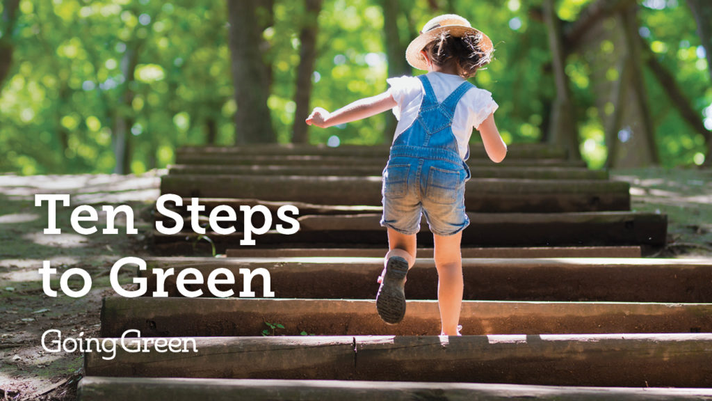 10 Steps To Green | Going Green With Lisa Bronner