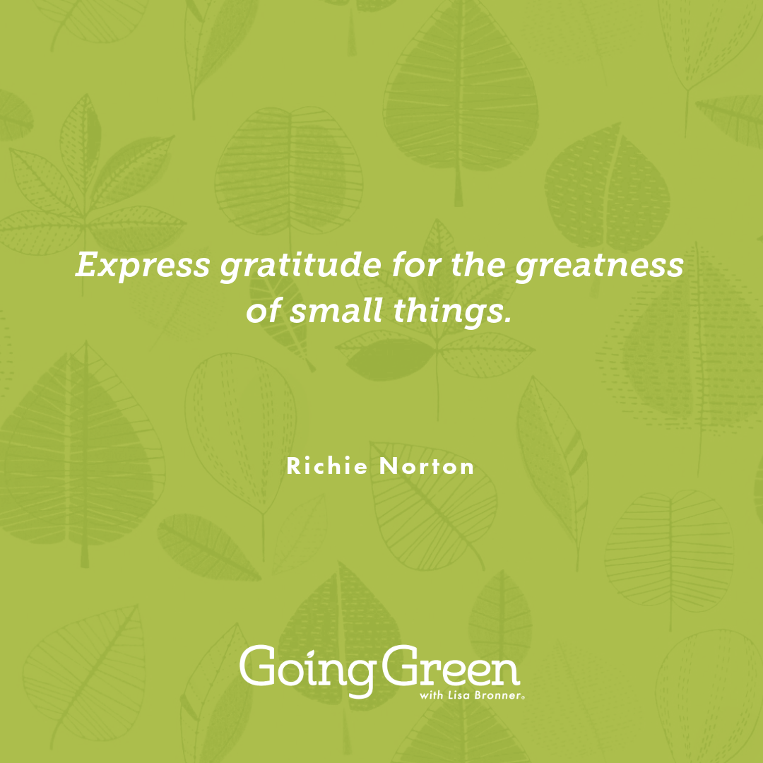 Quote that reads "Express gratitude for the greatness of small things".