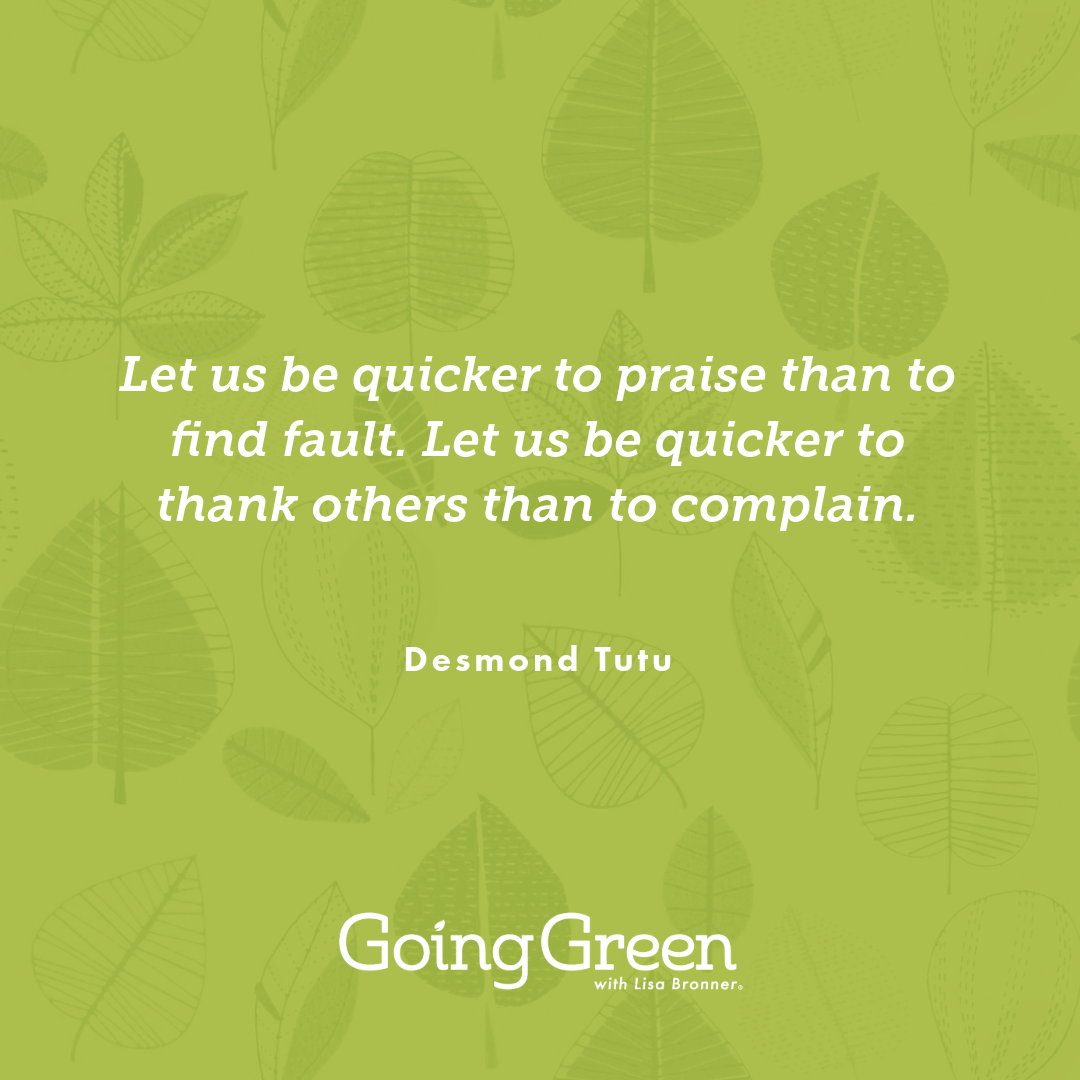 Quote that reads "Let us be quicker to praise than to find fault. Let us be quicker to thank others than to complain".