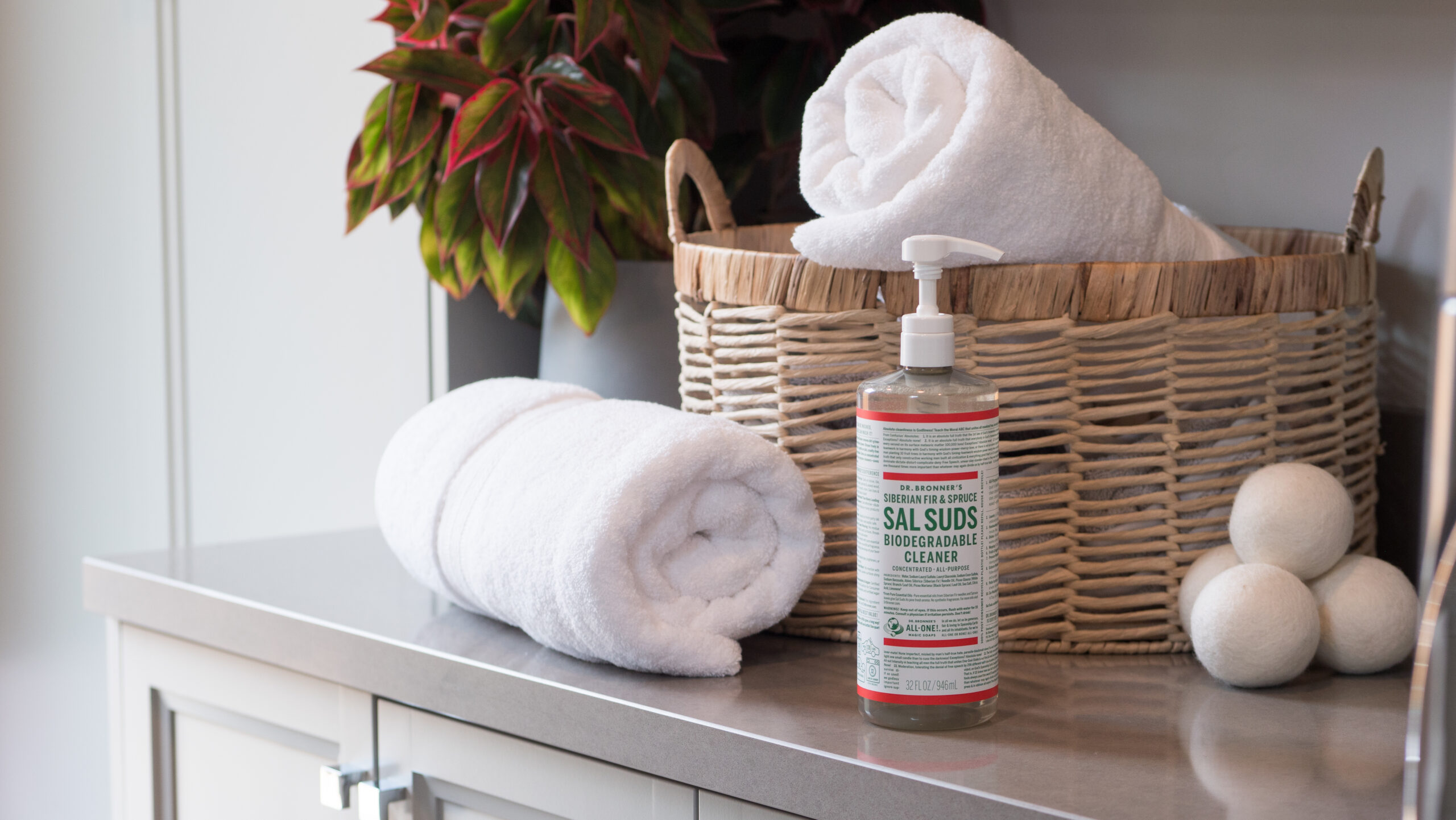 Dr. Bronner's Sal Suds bottle with pump top.